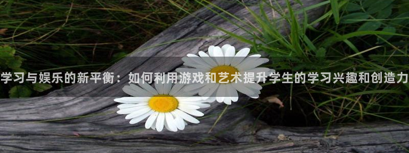 卧龙娱乐登录入口