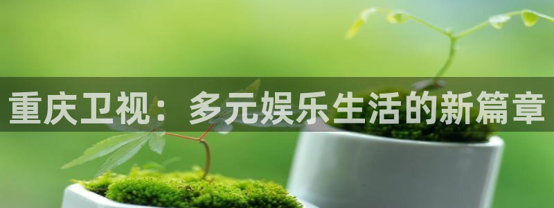 卧龙娱乐登录入口