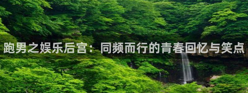 卧龙娱乐